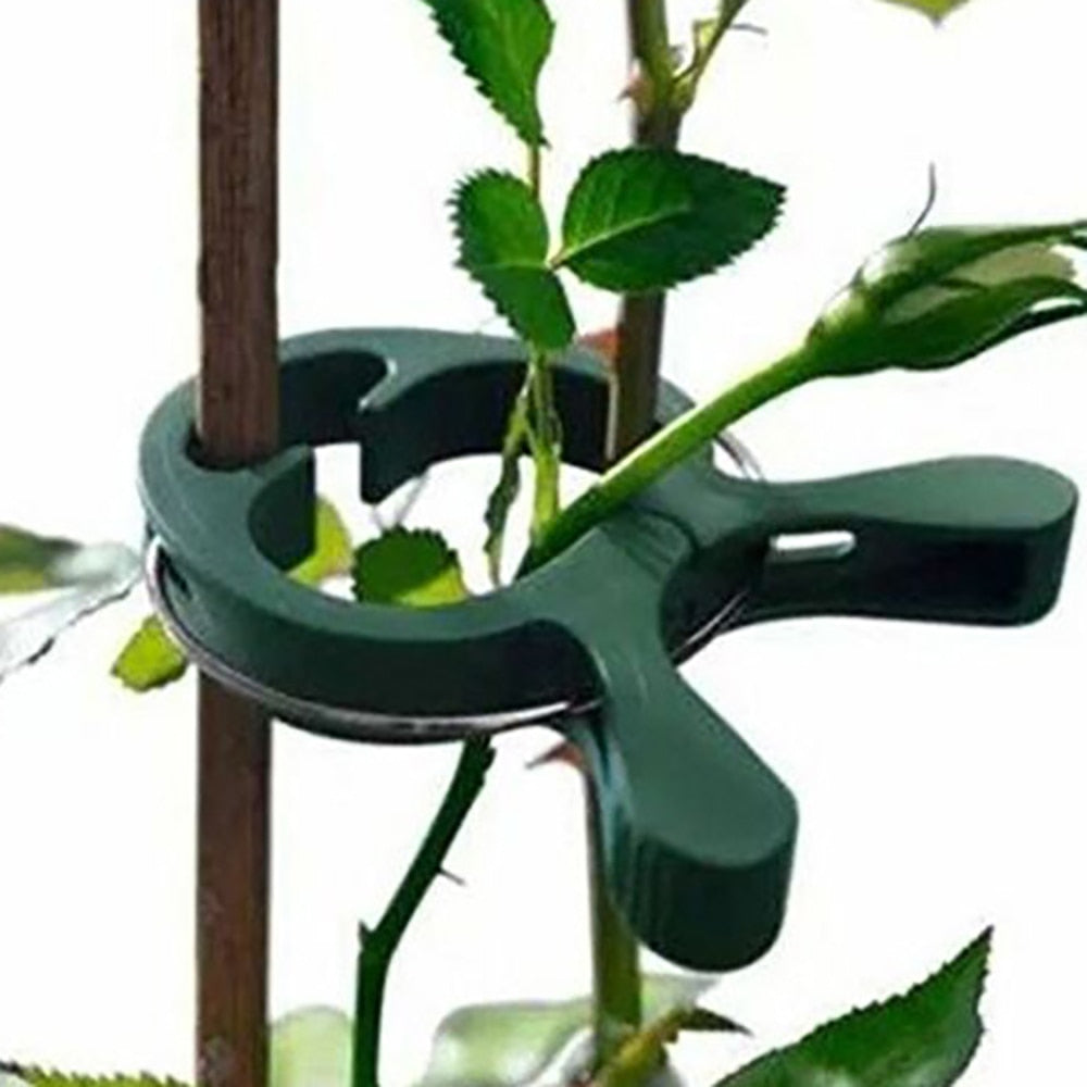 80pcs Garden Plant Fixed Clip Vines Grape Support Fastener Vegetables Flowers Tied Buckle Clamp Greenhouse Bracket