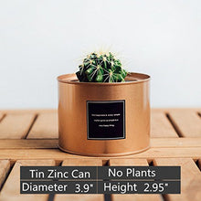 Load image into Gallery viewer, Metal Flower Pot Succulent Iron Storage Container Metal Crafts Decorative Garden Artificial Flower Pot Rose Gold Silver Black 27