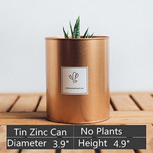 Load image into Gallery viewer, Metal Flower Pot Succulent Iron Storage Container Metal Crafts Decorative Garden Artificial Flower Pot Rose Gold Silver Black 27