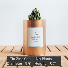 Load image into Gallery viewer, Metal Flower Pot Succulent Iron Storage Container Metal Crafts Decorative Garden Artificial Flower Pot Rose Gold Silver Black 27