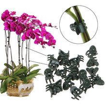 Load image into Gallery viewer, 20/50PCS Plastic Plant Support Clips Orchid Stem Clip for Vine Support Vegetables Flower Tied Bundle Branch Clamping Garden Tool