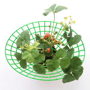 1 Piece 27cm Strawberry Supports Stand Handy Strawberries Growing Removable Keep Plant Off Rot in the Rainy Days