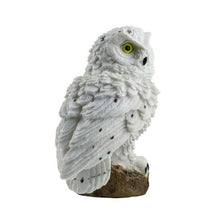 Load image into Gallery viewer, Novelty Solar Garden Lights Owl Ornament Animal Bird Outdoor LED Decor Sculpture Outdoor Yard Garden Creative Solar Lamps