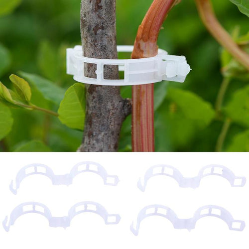 50/100/200pcs 30mm Plastic Tomato Garden Plant Support Clips For Types Plants Hanging Vine Garden Greenhouse Vegetables