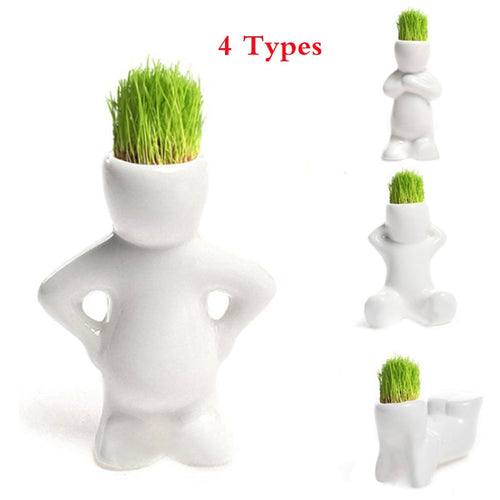 DIY Mini Novel Bonsai Grass Doll Hair White Lazy Man Plant For Garden Planting Bonsais Gift Home Decoration 4 Shape Choose