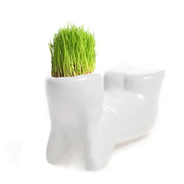 DIY Mini Novel Bonsai Grass Doll Hair White Lazy Man Plant For Garden Planting Bonsais Gift Home Decoration 4 Shape Choose