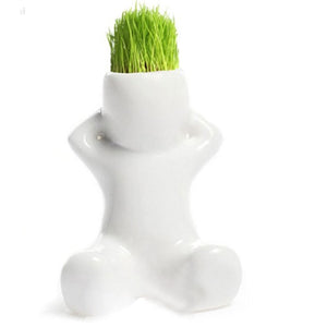 DIY Mini Novel Bonsai Grass Doll Hair White Lazy Man Plant For Garden Planting Bonsais Gift Home Decoration 4 Shape Choose