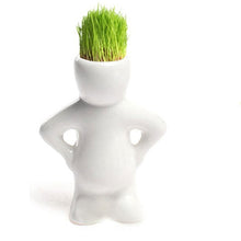 Load image into Gallery viewer, DIY Mini Novel Bonsai Grass Doll Hair White Lazy Man Plant For Garden Planting Bonsais Gift Home Decoration 4 Shape Choose