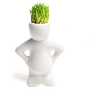 DIY Mini Novel Bonsai Grass Doll Hair White Lazy Man Plant For Garden Planting Bonsais Gift Home Decoration 4 Shape Choose