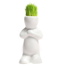 Load image into Gallery viewer, DIY Mini Novel Bonsai Grass Doll Hair White Lazy Man Plant For Garden Planting Bonsais Gift Home Decoration 4 Shape Choose