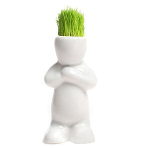 DIY Mini Novel Bonsai Grass Doll Hair White Lazy Man Plant For Garden Planting Bonsais Gift Home Decoration 4 Shape Choose