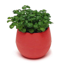 Load image into Gallery viewer, Creative Eco-friendly Colourful Mini Round Plastic Plant Flower Pot Garden Home Office Decor Planter