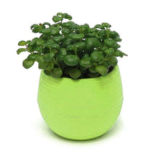 Load image into Gallery viewer, Creative Eco-friendly Colourful Mini Round Plastic Plant Flower Pot Garden Home Office Decor Planter