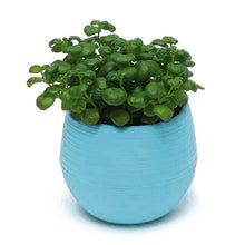 Load image into Gallery viewer, Creative Eco-friendly Colourful Mini Round Plastic Plant Flower Pot Garden Home Office Decor Planter