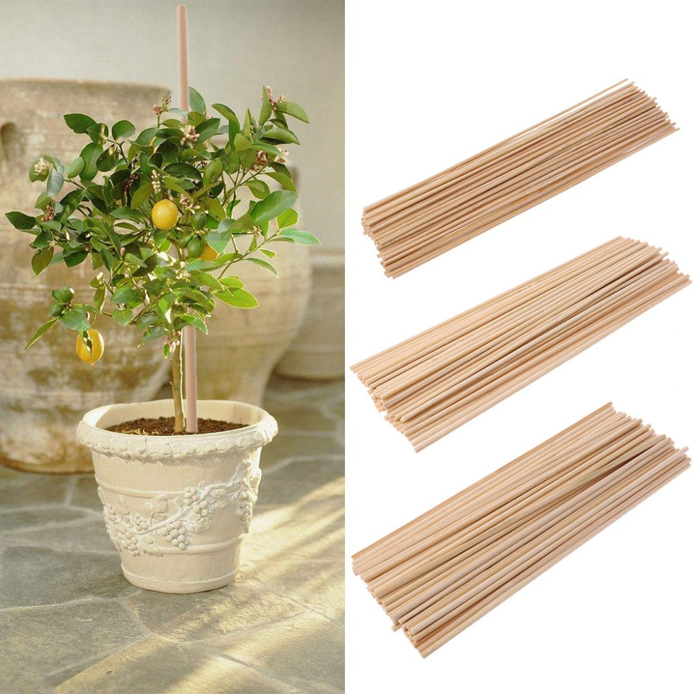 50 Wooden Plant Grow Support Bamboo Plant Sticks Garden Canes Plants Flower Support Stick Cane Dia 2/4/5mm