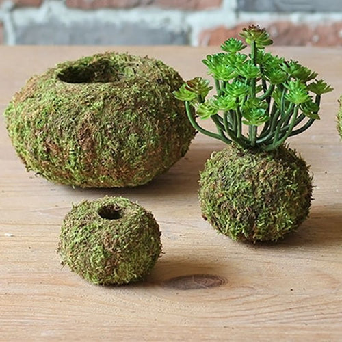 Moss Ball Pot Bird Nest Flower Plant Home Office Desk Table Garden DIY Decoration